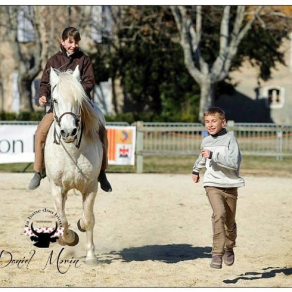 Manade Marié proche Montpellier